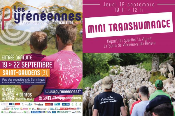 Mini transhumance